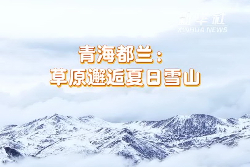青海都兰：草原邂逅夏日雪山